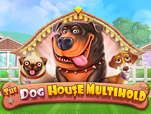 دی ڈاگ ہاؤس ملٹی ہولڈ game icon